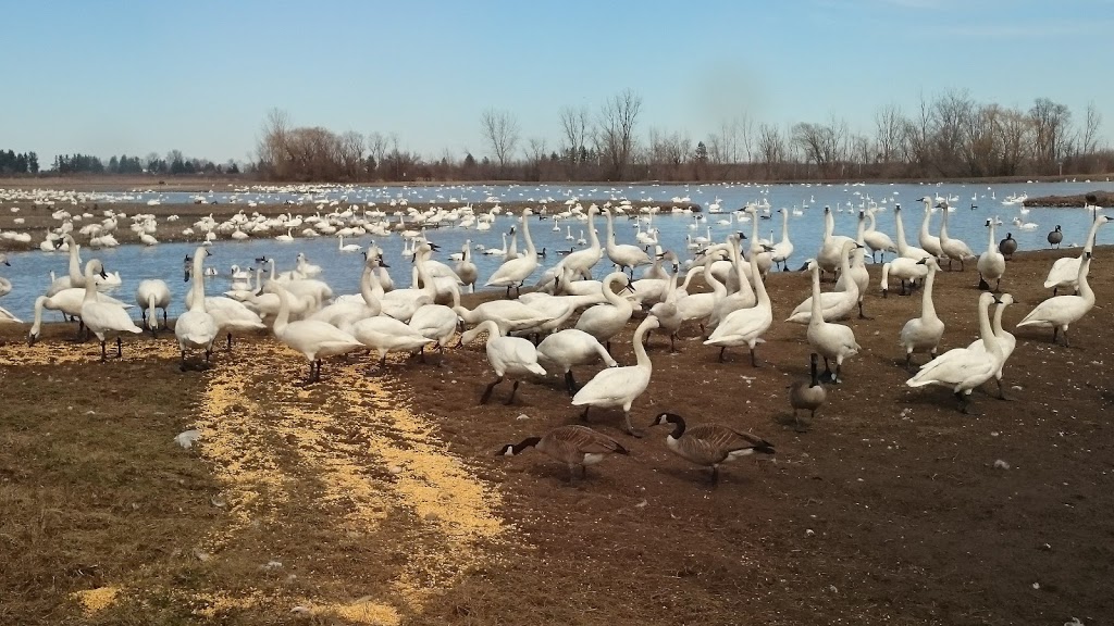 Aylmer Wildlife Management Area | 10594 Hacienda Road, Aylmer, ON N5H 2R3, Canada