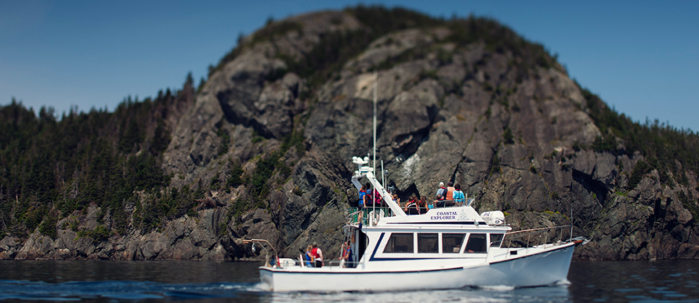 Coastal Connections | Northside Rd, Holyrood, NL A0G 2L0, Canada | Phone: (709) 730-2868