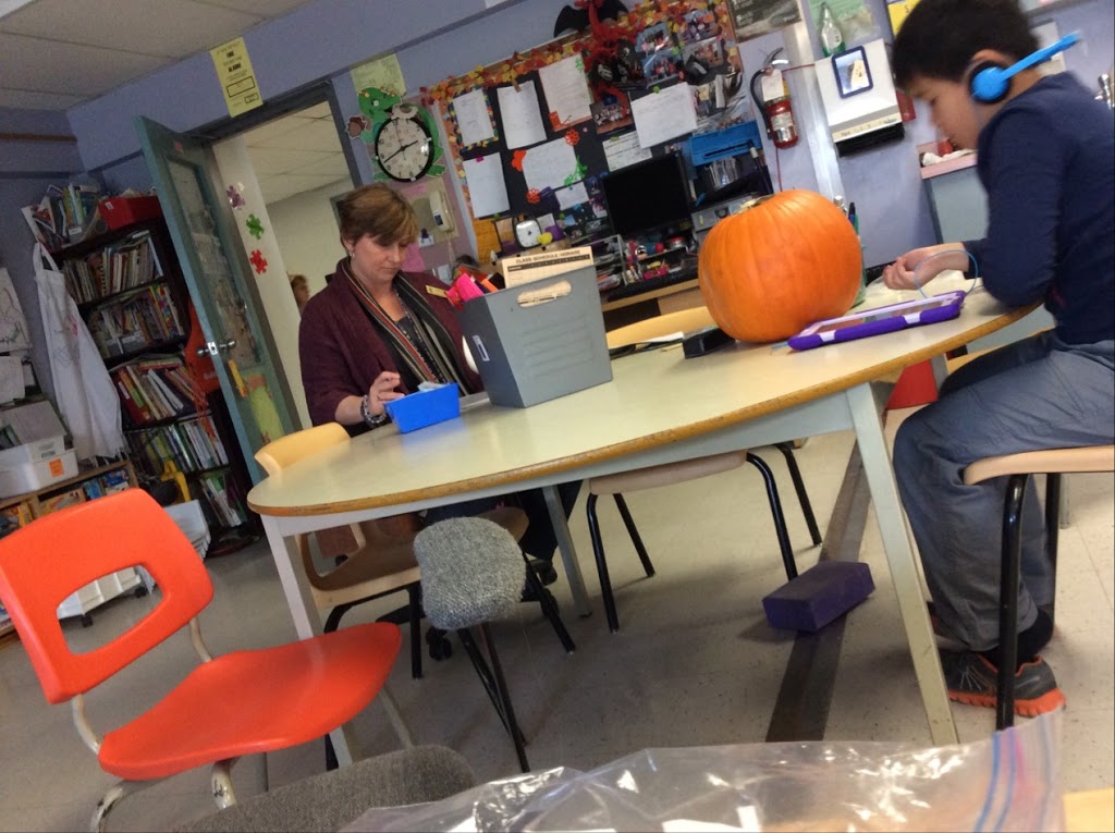 Steve MacLean Public School | 4175 Spratt Rd, Gloucester, ON K1V 1T6, Canada | Phone: (613) 822-0341