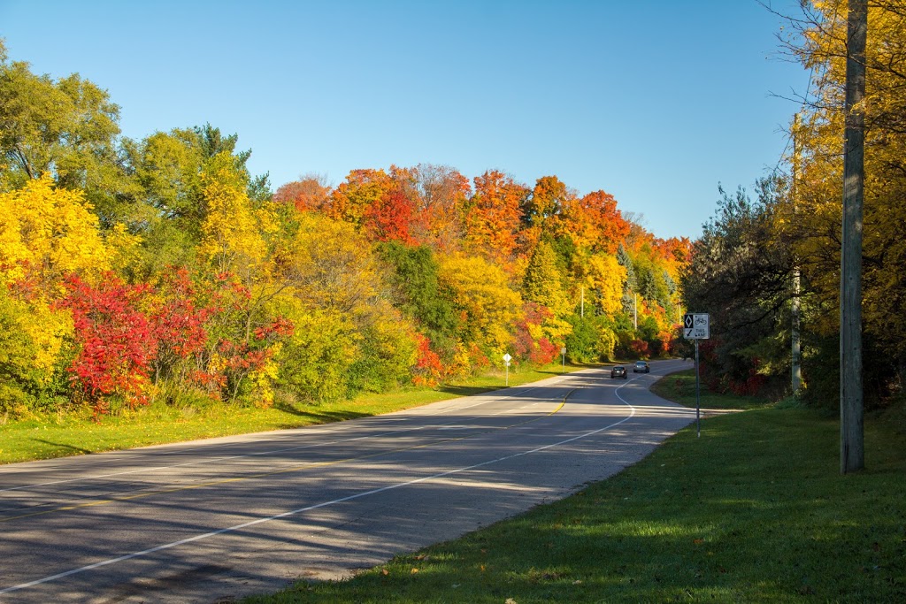 Warrington Park | 397 Warrington Dr, Waterloo, ON N2L 5X6, Canada | Phone: (519) 886-2310