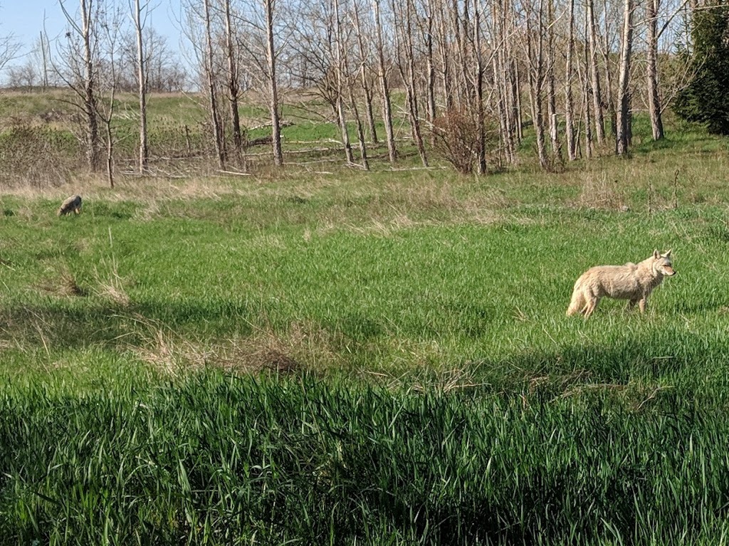 Springbank Meadows Park | 2210 Springbank Rd, Mississauga, ON L5H 3N5, Canada