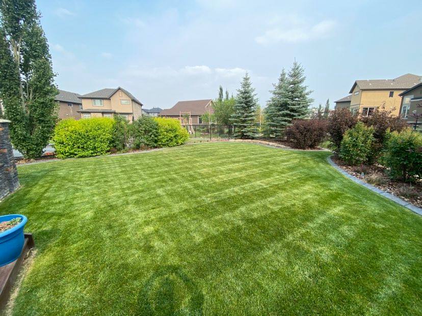 Top Turf | 140 Elgin Meadows Gardens SE, Calgary, AB T2Z 0M3, Canada | Phone: (587) 438-0036