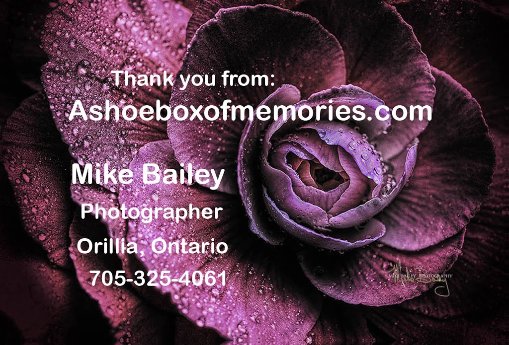 A Shoebox of Memories | 1404 JV Parkway, Severn, ON L3V 0V4, Canada | Phone: (705) 325-4061