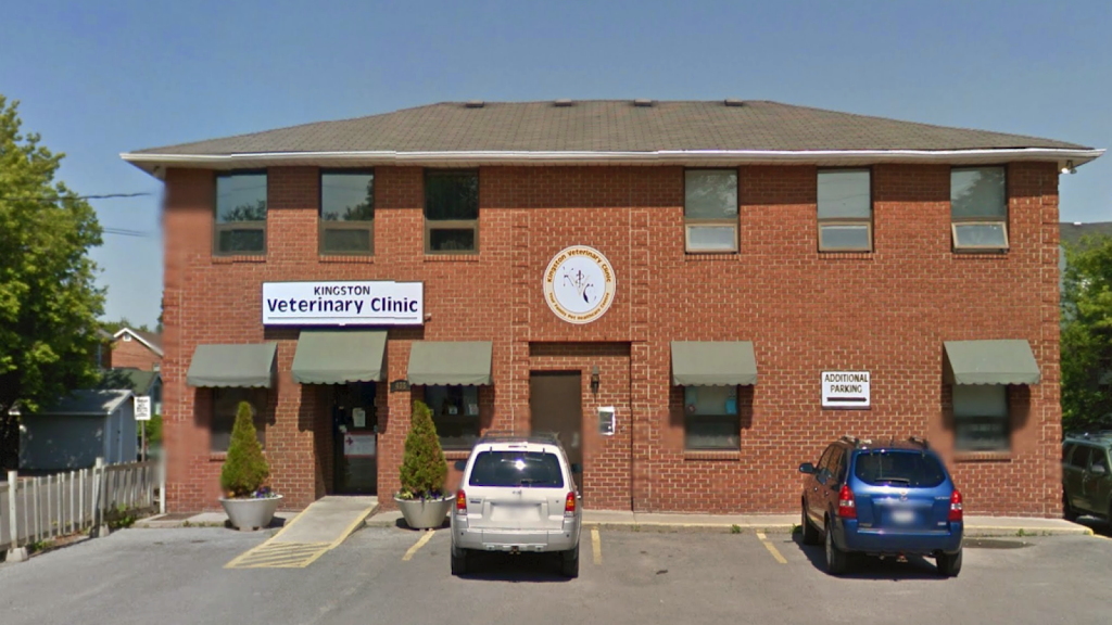Kingston Veterinary Clinic | 435 Division St, Kingston, ON K7K 4A8, Canada | Phone: (613) 542-7337