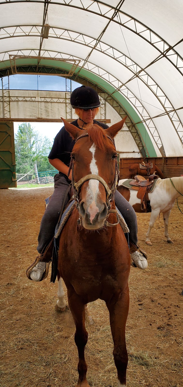 Official Little Rock Farm | 346 Buttermilk Hill Rd, Perth, ON K7H 3C3, Canada | Phone: (613) 284-6570