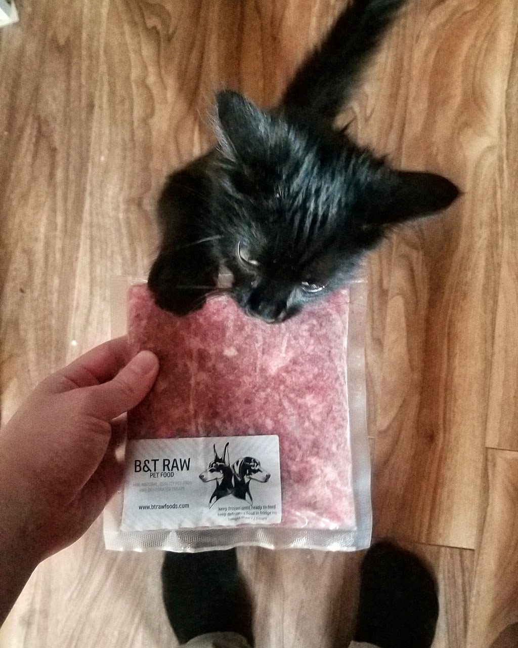 B&T Raw Pet Foods | 43120 Smith Rd, Chilliwack, BC V2R 4N5, Canada