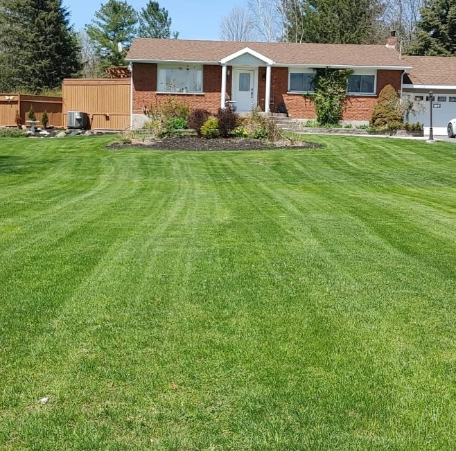 Brennan Property Maintenance | 243 Blessington Rd, Corbyville, ON K0K 1V0, Canada | Phone: (613) 403-5331