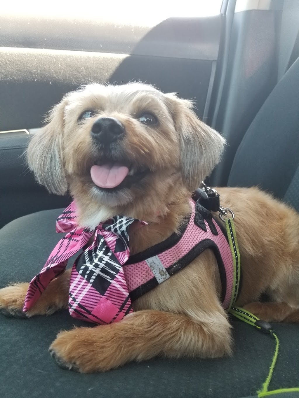 South Peel Veterinary Hospital | 3484 Mavis Rd, Mississauga, ON L5C 1T8, Canada | Phone: (905) 277-4500