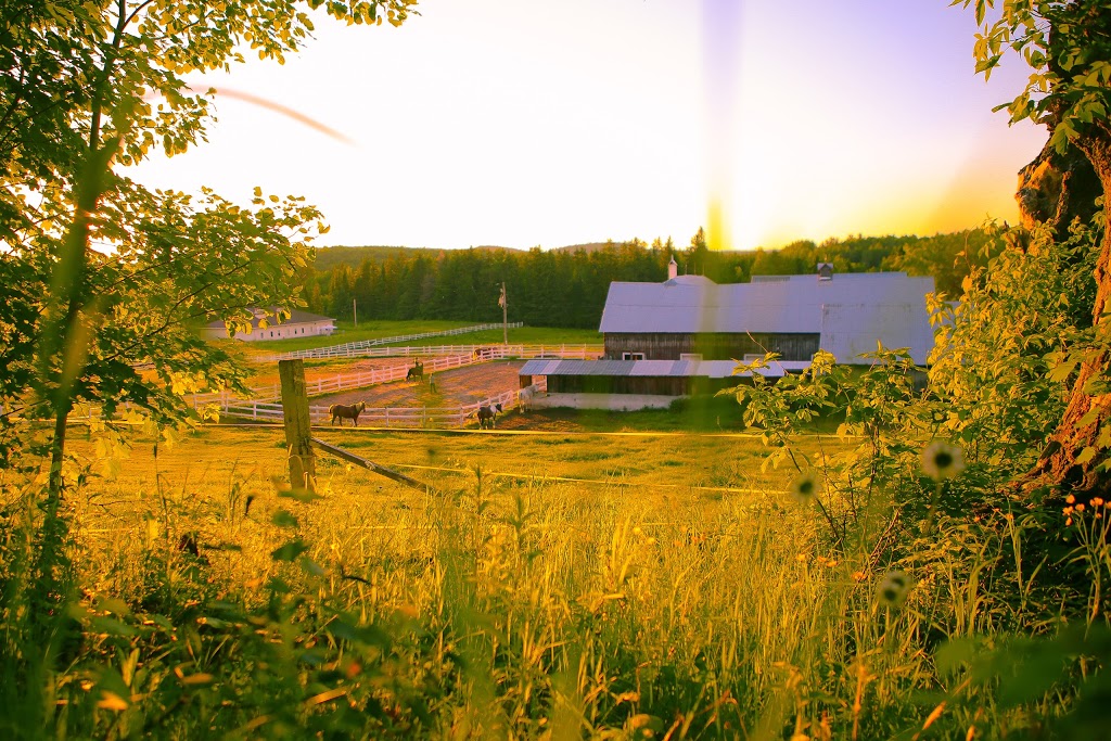 Equita Ranch | 838 Montée de la Source, Cantley, QC J8V 3H4, Canada | Phone: (819) 827-9996