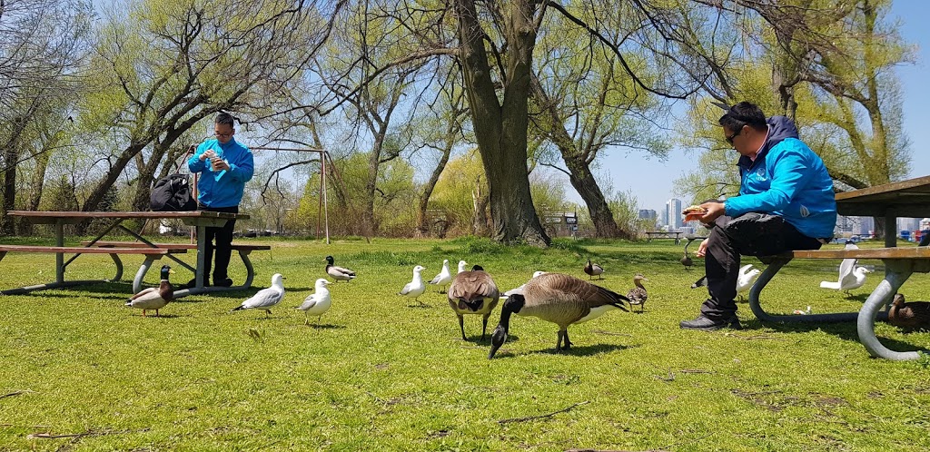 Toronto Islands - Olympic Island Park | Toronto, ON M5J, Canada