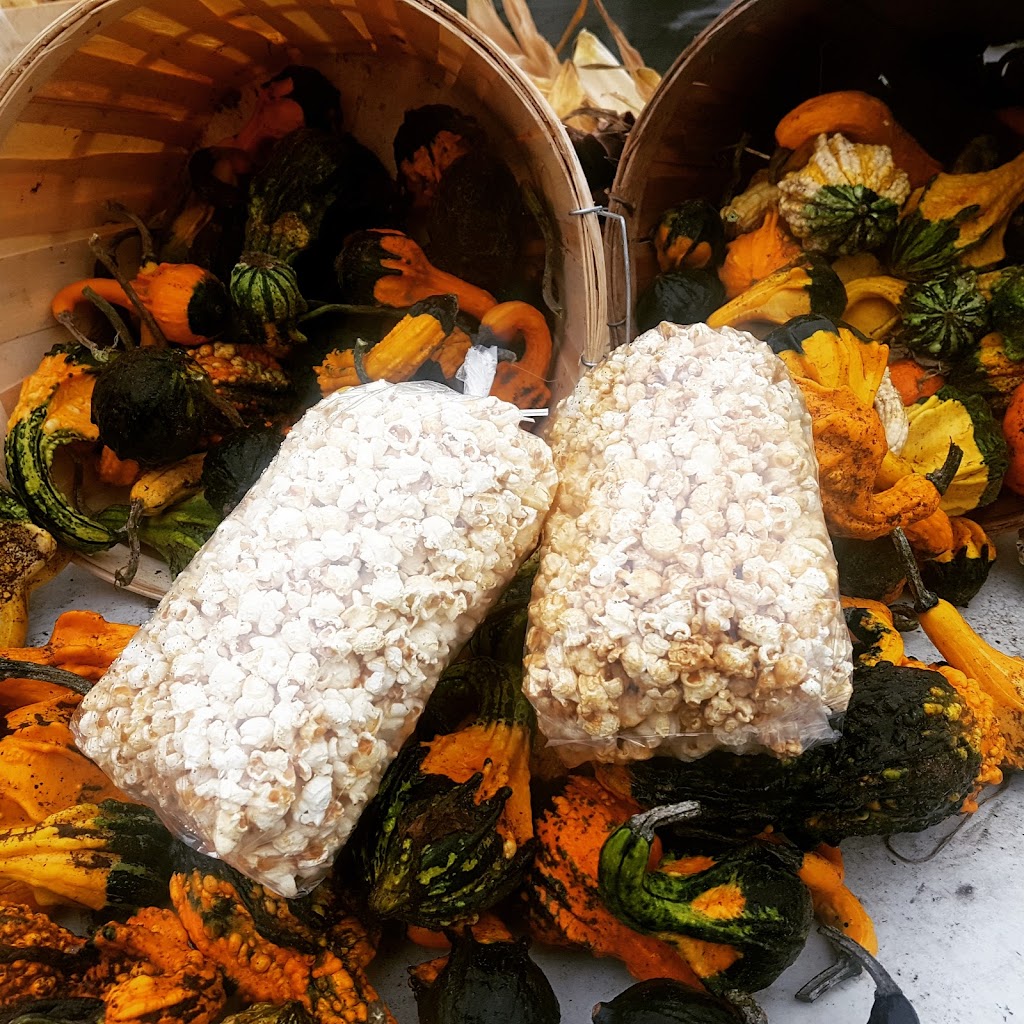 Bens Kettle Corn | Lindsay, Kawartha Lakes, ON K9V 4C6, Canada | Phone: (705) 341-0146