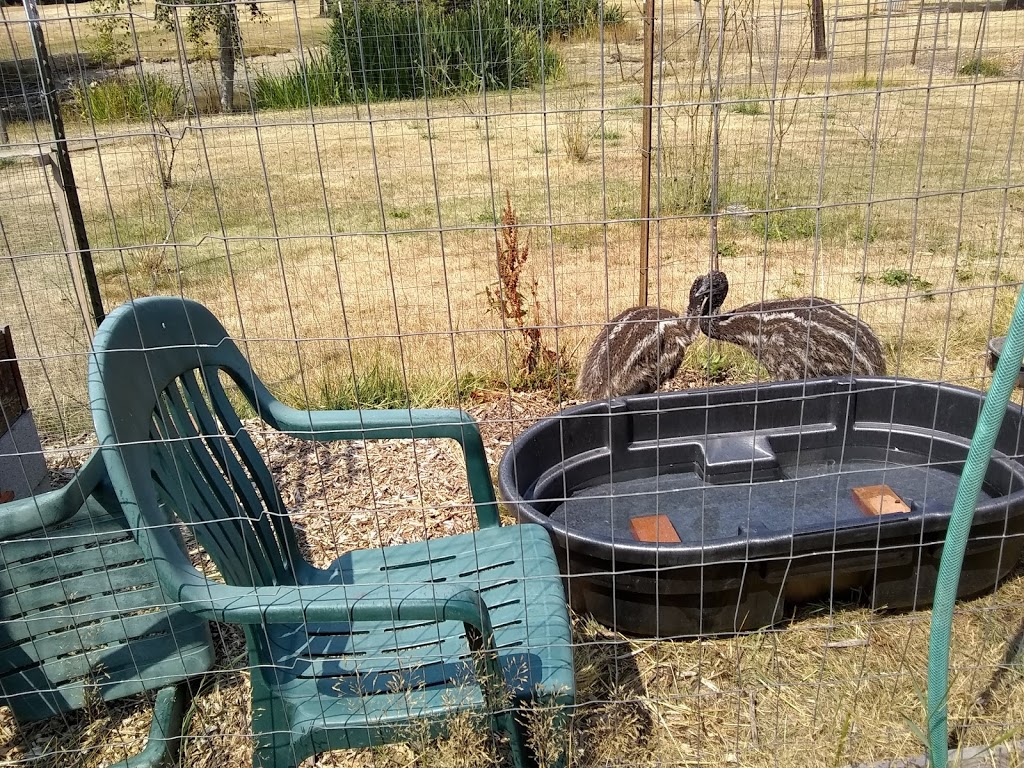 Buckhorn Farm | 17 Jensen Rd, Eastsound, WA 98245, USA | Phone: (360) 376-2298