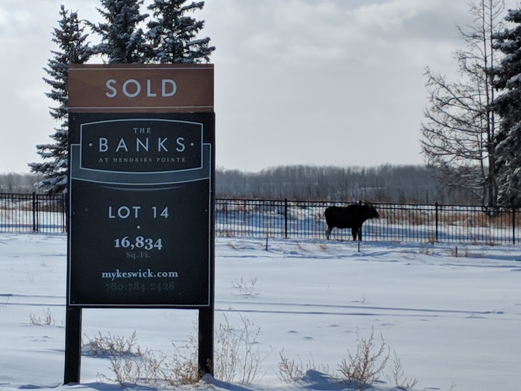 The Banks at Keswick | 3466 Keswick Blvd SW #3, Edmonton, AB T6W 1A5, Canada | Phone: (780) 420-0044