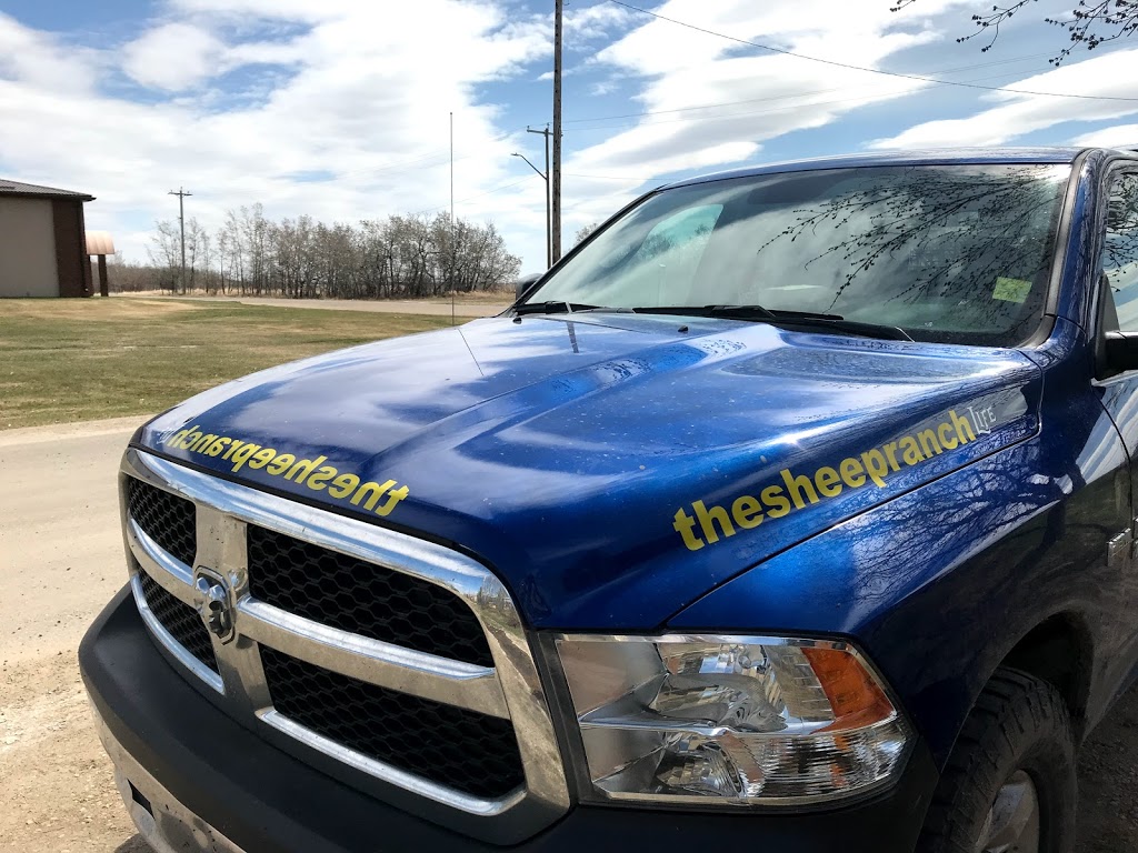 The Sheep Ranch Life | 46316 Range rd 184 Box 9, Ohaton, AB T0B 3P0, Canada | Phone: (780) 678-4661
