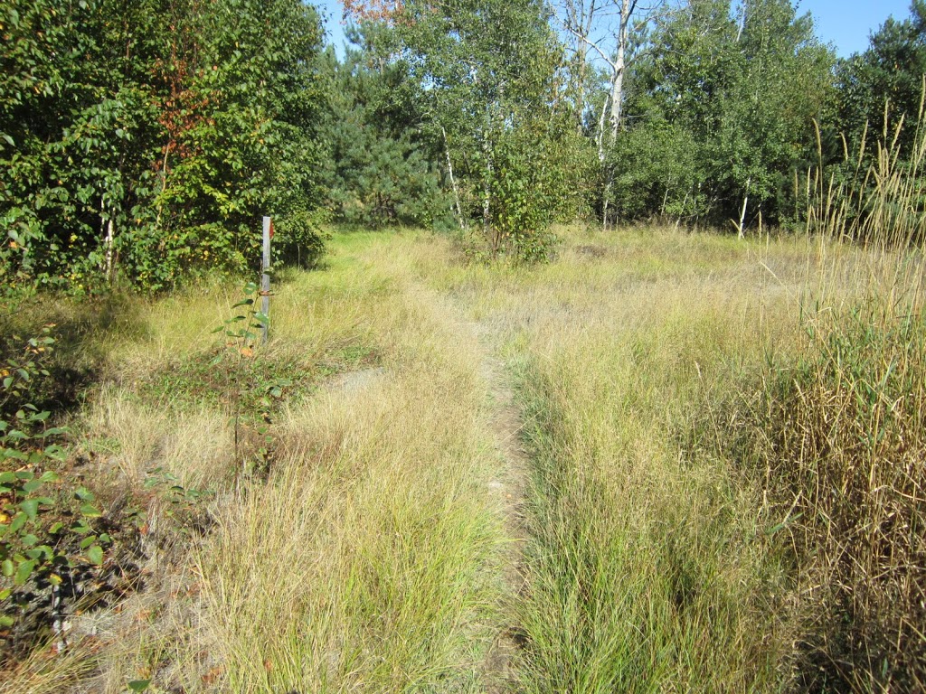 Fielding Bird Sanctuary | Sudbury, ON P3E 5S3, Canada