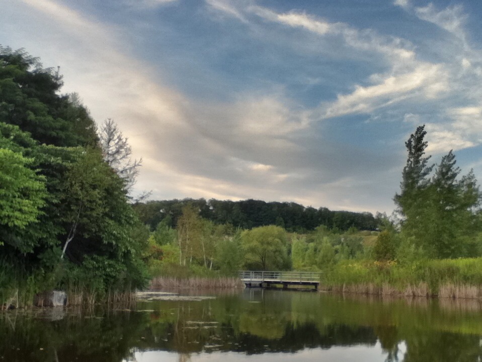 Park Drive Reservation Lands | 185 Mt Pleasant Rd, Toronto, ON M4W 1W2, Canada | Phone: (416) 392-2489