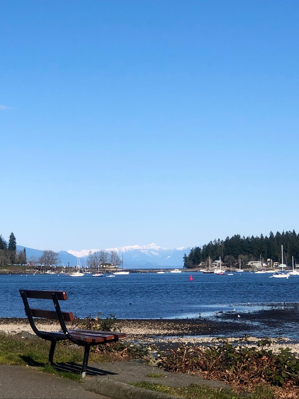 Maffeo Sutton Park | 100 Comox Rd, Nanaimo, BC V9R 3H7, Canada | Phone: (250) 756-5200