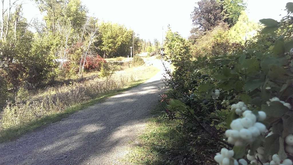 Scenic Canyon Regional Park | 2080 Hollywood Rd S, Kelowna, BC V1X 4P6, Canada