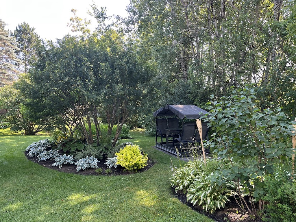 Studios Du Vacancier | 527 Rue Principale, Saint-Donat-de-Montcalm, QC J0T 2C0, Canada | Phone: (819) 424-3933