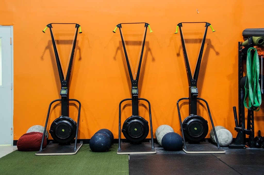 All Level Performance and Health | 1821 Provincial Rd, Windsor, ON N8W 5V7, Canada | Phone: (519) 972-3210