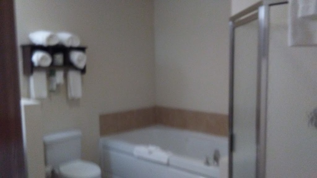 True North Travel, LLC | 2291 Water St #2, Port Huron, MI 48060, USA | Phone: (810) 479-0330
