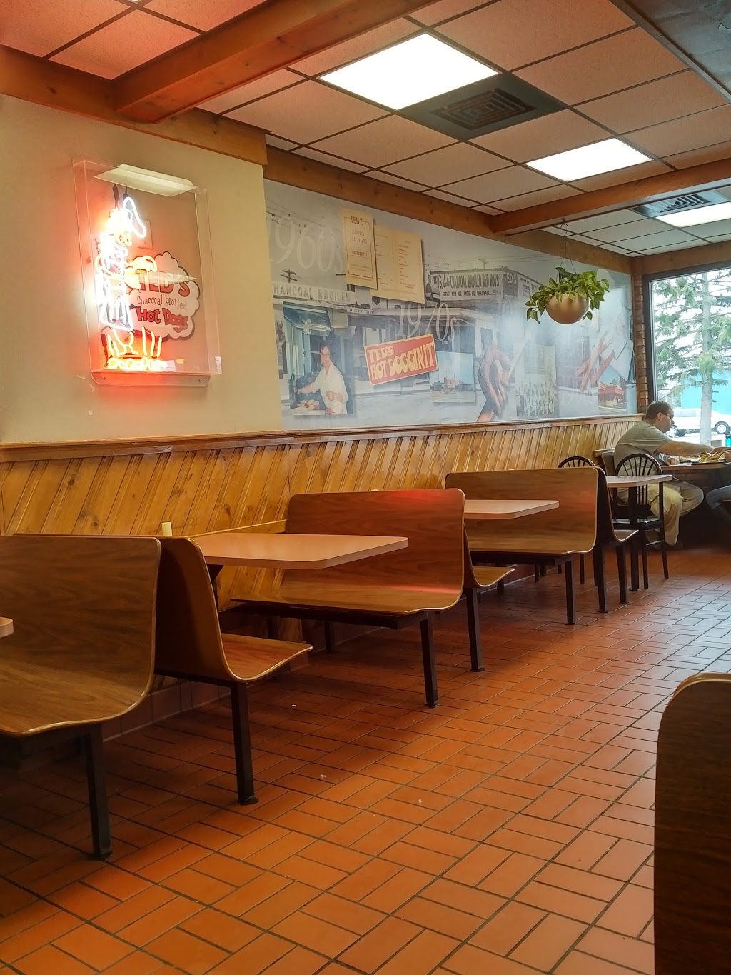 Teds Hot Dogs | 2351 Niagara Falls Blvd, Amherst, NY 14228, USA | Phone: (716) 691-7883
