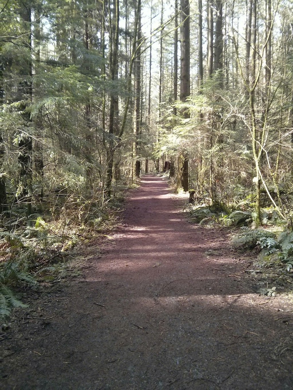 Watershed Park | 11600 Kittson Pkwy, Delta, BC V4E 1C5, Canada | Phone: (604) 946-3308