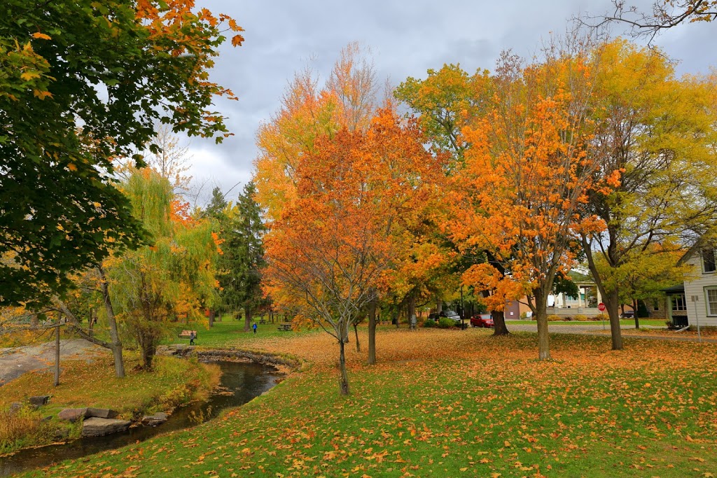 Code Park | 16 A Wilson St E, Perth, ON K7H 1L2, Canada