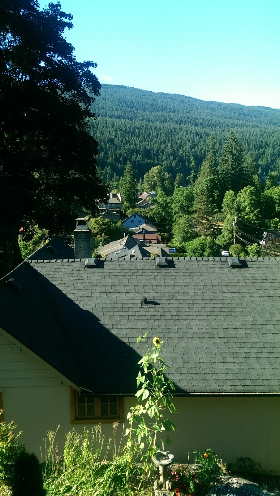 Cove View Accommodation | 1955 Banbury Rd, North Vancouver, BC V7G 1W6, Canada | Phone: (778) 888-6250