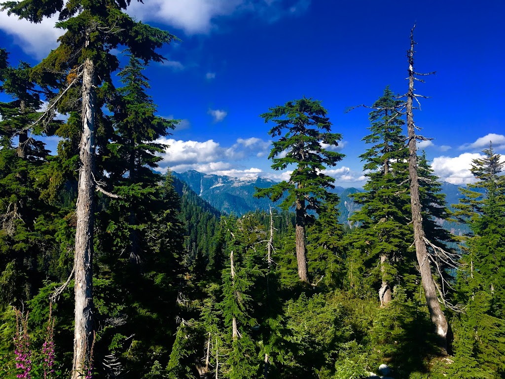Grouse Mountain | 6400 Nancy Greene Way, North Vancouver, BC V7R 4K9, Canada | Phone: (604) 980-9311