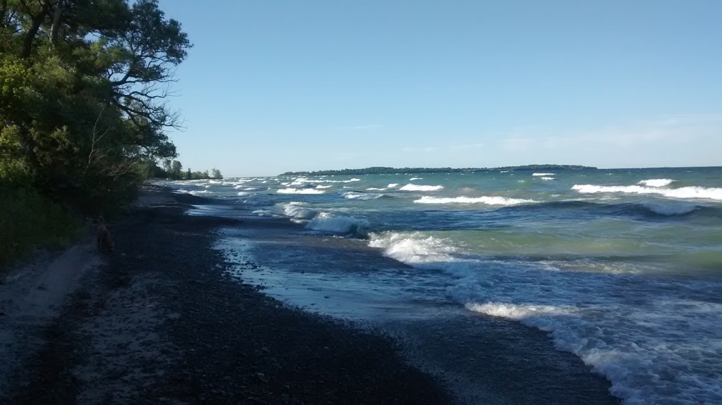 Pleasant Bay Camp | 493 County Rd 27, Consecon, ON K0K 1T0, Canada | Phone: (613) 399-5877