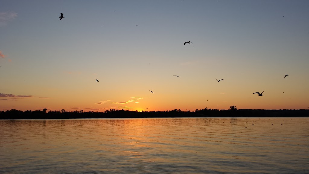 Lilac Lodge Camp | 6 Parker Dr, Roseneath, ON K0K 2X0, Canada | Phone: (905) 352-2489