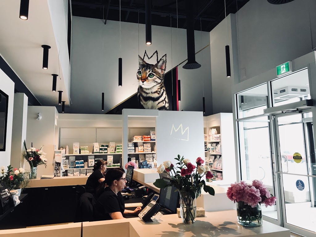 Clinique Vétérinaire Lasalle Inc. | 7820 Boulevard Champlain, LaSalle, QC H8P 1B3, Canada | Phone: (514) 364-1233
