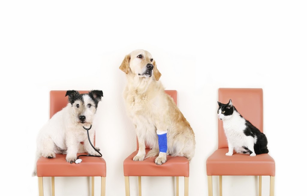 Airdrie Animal Clinic | 117 East Lake Crescent NE #101, Airdrie, AB T4A 2H6, Canada | Phone: (403) 948-3619