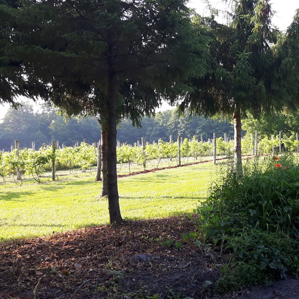Vignoble Bromont Auberge & Boutique | 1095 Chemin N, Brigham, QC J2K 4R6, Canada | Phone: (450) 263-4988