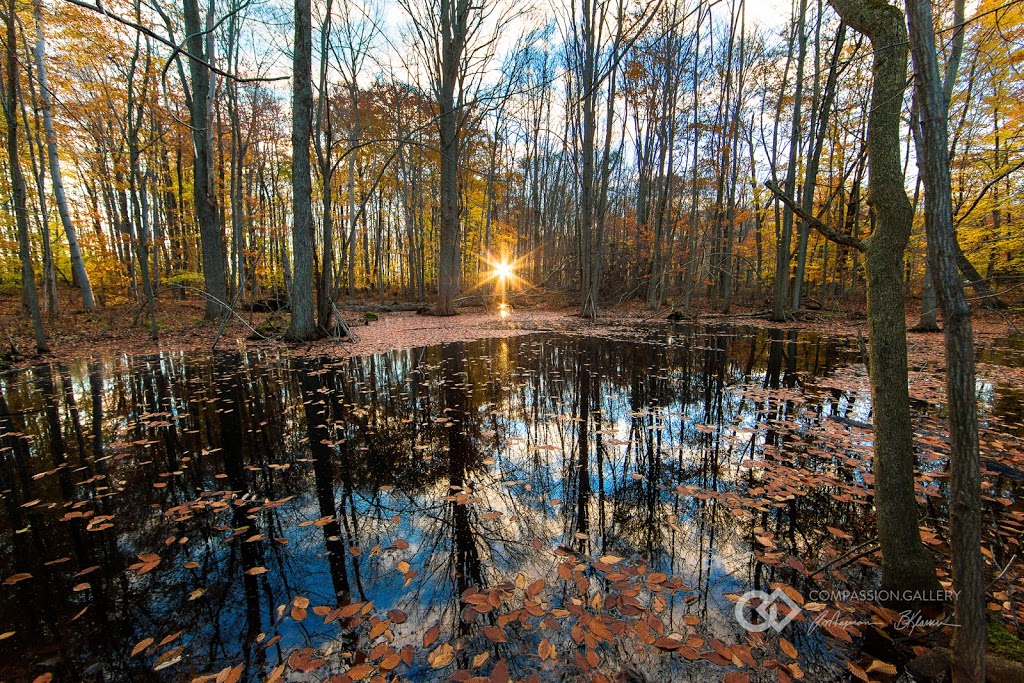 Sharon Creek Conservation Area | 4212 Springer Rd, Delaware, ON N0L 1E0, Canada | Phone: (519) 264-2420