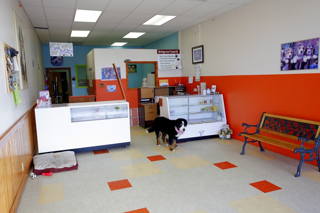 Beaute Canine | 2685 Chemin Ste Marie, Mascouche, QC J7K 1M8, Canada | Phone: (450) 474-4434