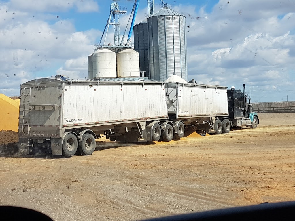 Van Raay Paskal Farms - Turin Lot | Range Rd 194, Turin, AB T0K 2H0, Canada | Phone: (403) 738-4486