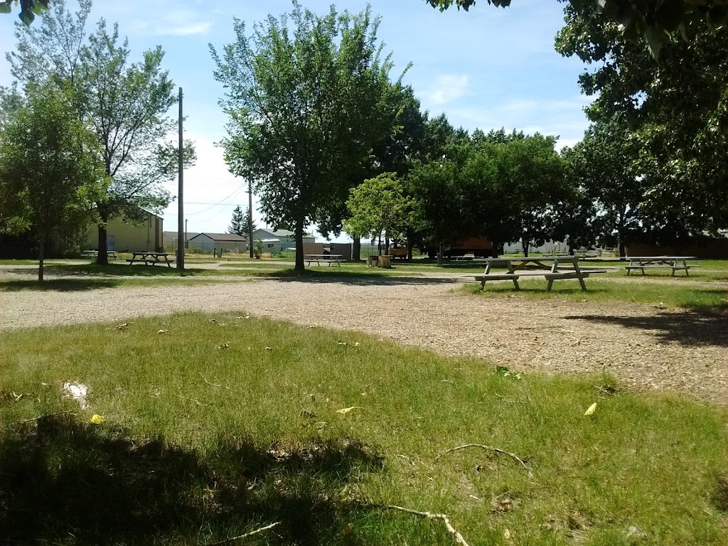 Bassano Homecoming Campground | 601-605 2 Ave, Bassano, AB T0J 0B0, Canada | Phone: (403) 641-3788