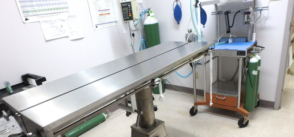 St-Laurent Animal Hospital | 654 Montreal Rd, Ottawa, ON K1K 0T3, Canada | Phone: (613) 749-2143