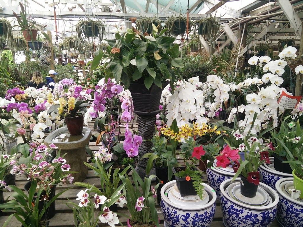 Sunrise Garden Ctr | 28563 Fraser Hwy, Abbotsford, BC V4X 1L1, Canada | Phone: (604) 856-6899