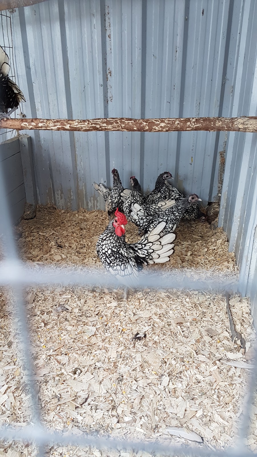 La Ferme de Cariphaël | 381 Des 60 Rang, Saint-Marc-sur-Richelieu, QC J0L 2E0, Canada | Phone: (450) 584-2924