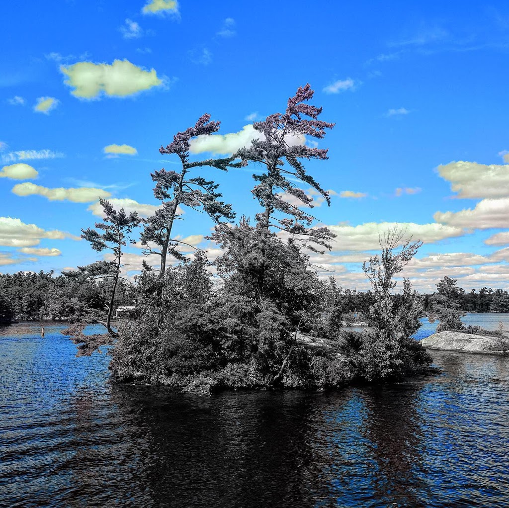 Stoney Lake Cruises | 610 Mt Julian Viamede Rd, Woodview, ON K0L 3E0, Canada | Phone: (705) 977-3986