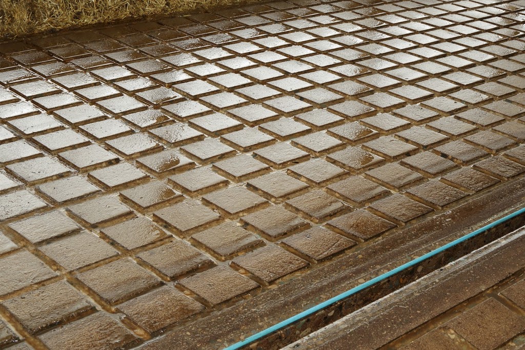 Grandview Concrete Grooving Inc. | 7106 ON-6, Arthur, ON N0G 1A0, Canada | Phone: (888) 447-6684