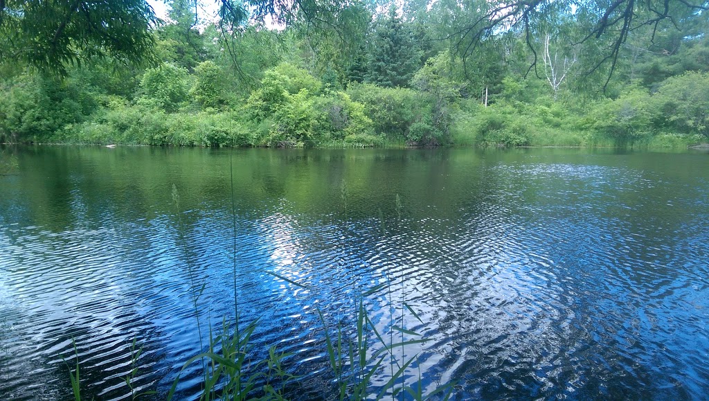 Chanonhouse Park | 30 Chanonhouse Dr, Richmond, ON K0A 2Z0, Canada