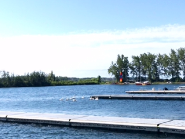 Sailing Fanatics | 14 Regatta Rd, Toronto, ON M5A 0B7, Canada | Phone: (647) 361-1781