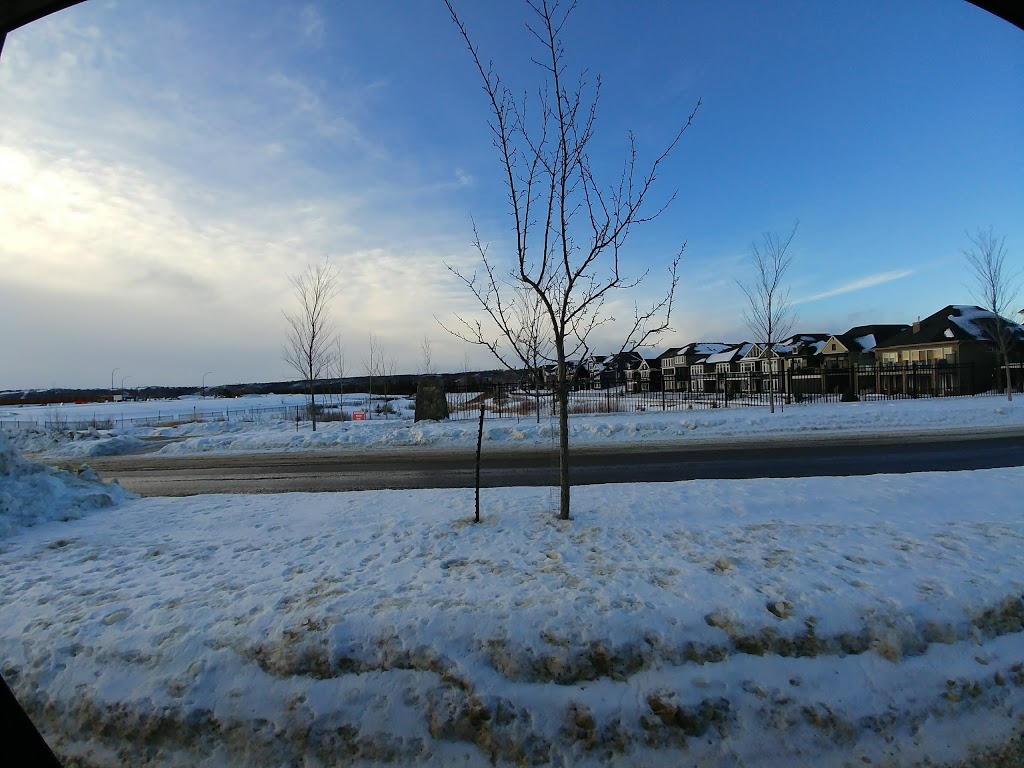 Owl Park | Cranston, Calgary, AB T3M 0J1, Canada