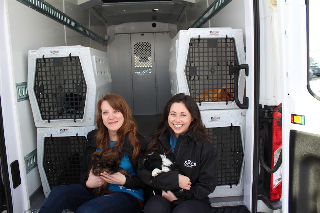 Colchester SPCA | 408 Industrial Ave, Truro, NS B2N 6Z6, Canada | Phone: (902) 893-7968