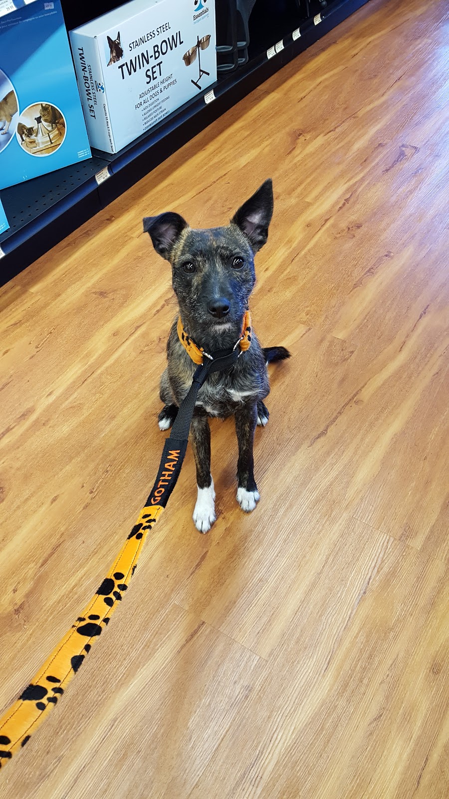 Pet Valu | 3 Reenders Dr, Winnipeg, MB R2C 5K5, Canada | Phone: (204) 654-9955