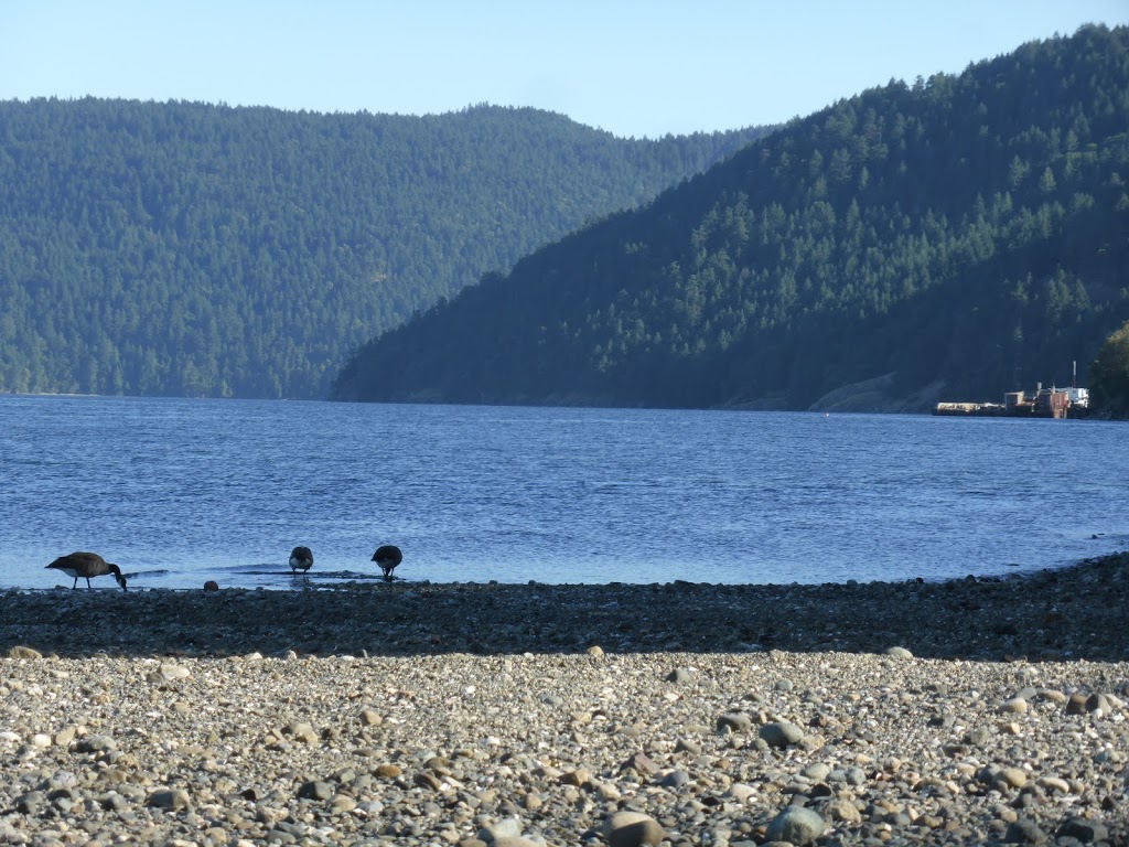 Bamberton Provincial Park | Cowichan Valley F, BC V0R 2P4, Canada
